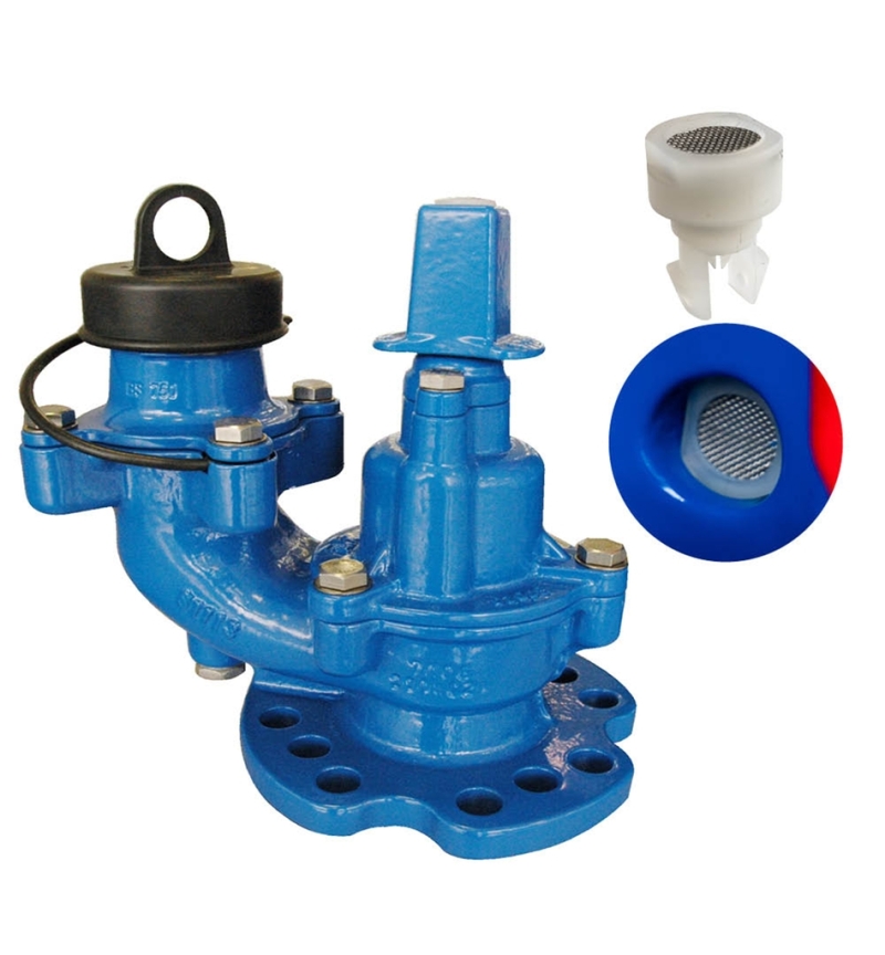 29 388 and auto frost detail